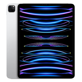 iPad Pro 11 inch (2022) 256GB Zilver Wifi + 5G