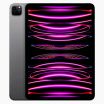 iPad Pro 11 inch (2022) 256GB Zwart Wifi 