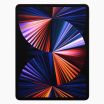 iPad Pro 12.9 inch (2021) 512GB Zwart Wifi 