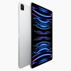 iPad Pro 12.9 Inch (2022) 512GB Zilver Wifi Only
