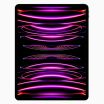 iPad Pro 12.9 Inch (2022) 512GB Space Grey Wifi Only