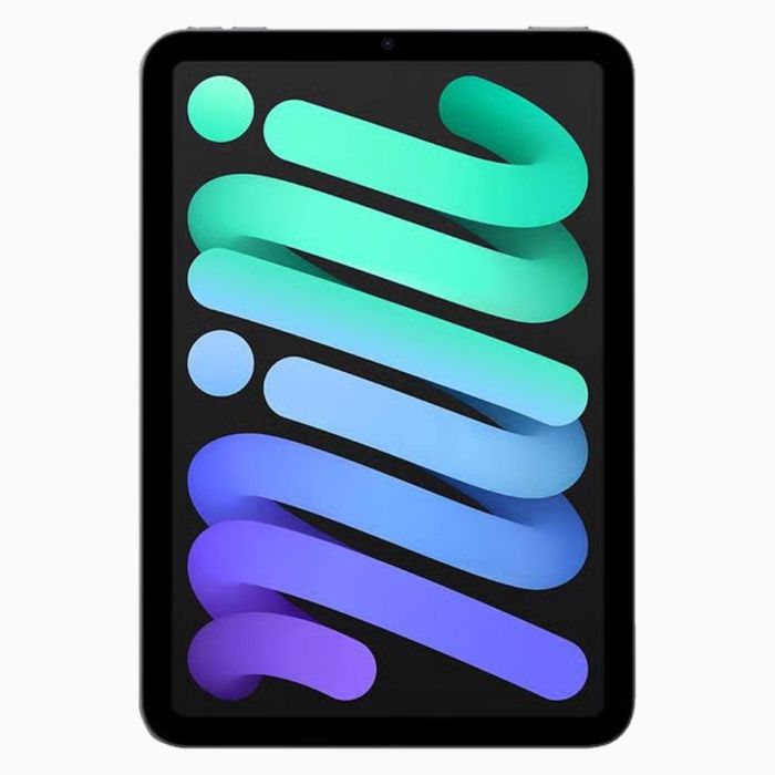 iPad本体 ipad mini 6 Refurbished iPad Mini 6 256GB Space Grey Wifi + 5G | Mét Keurmerk