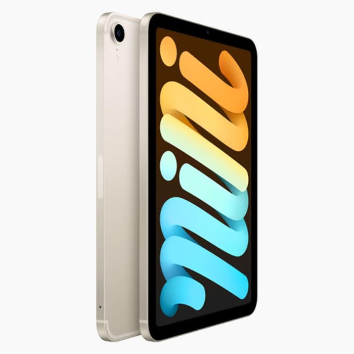 Refurbished iPad Mini 6 256GB Zilver Wifi + 5G                              