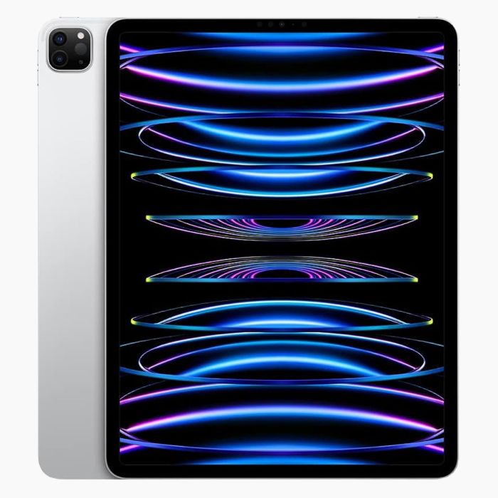 iPad Pro 11 inch (2022) 256GB Zilver Wifi + 5G