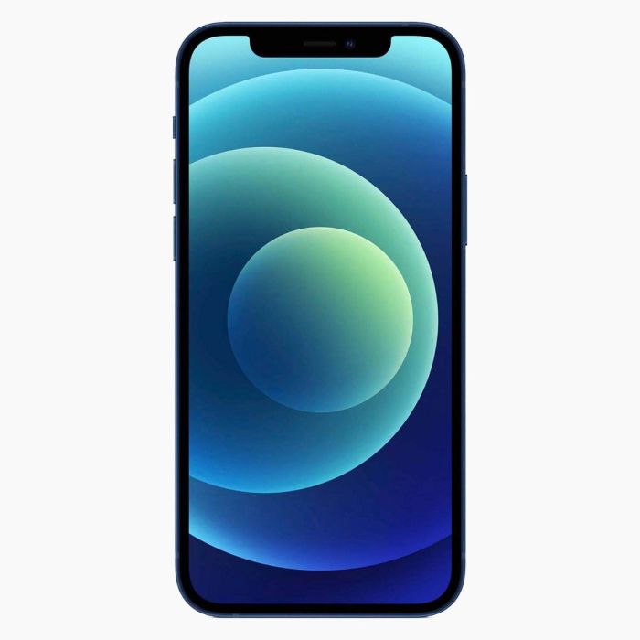 Refurbished iPhone 12 256GB Blauw | Morgen bezorgd!