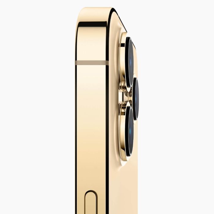 Refurbished iPhone 13 Pro 256GB Goud                            