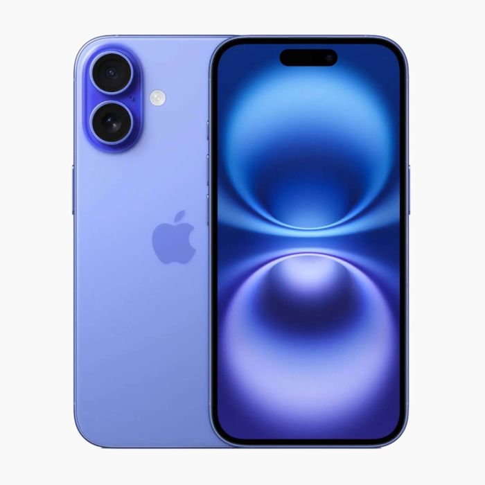iPhone 16 256GB Blauw
                            
