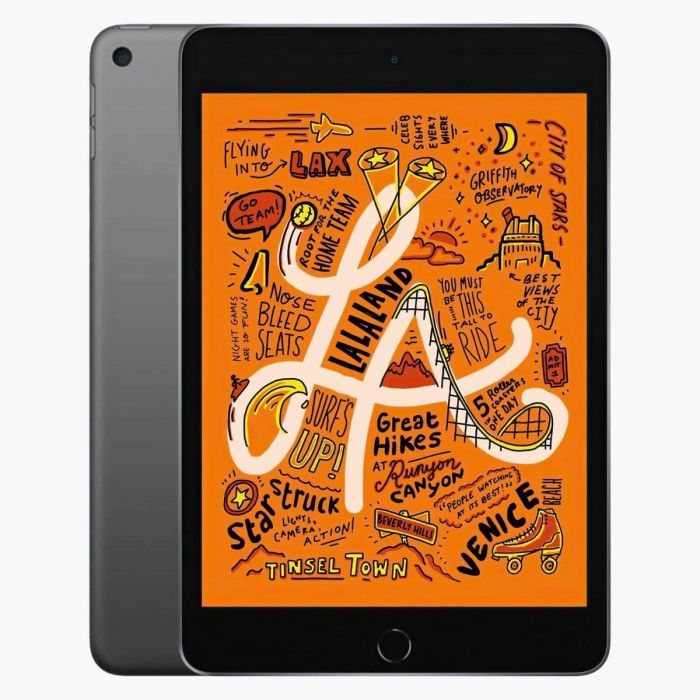 iPad Mini 5 256GB Space Grey 4G