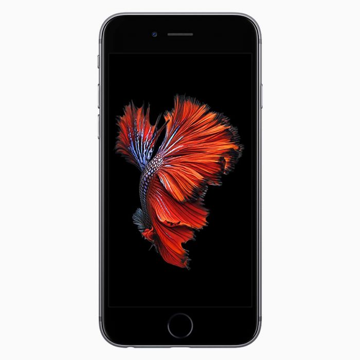 Rechtzetten Onderscheid ondergronds iPhone 6S 128GB Space Grey refurbished | Mét 2 jaar garantie