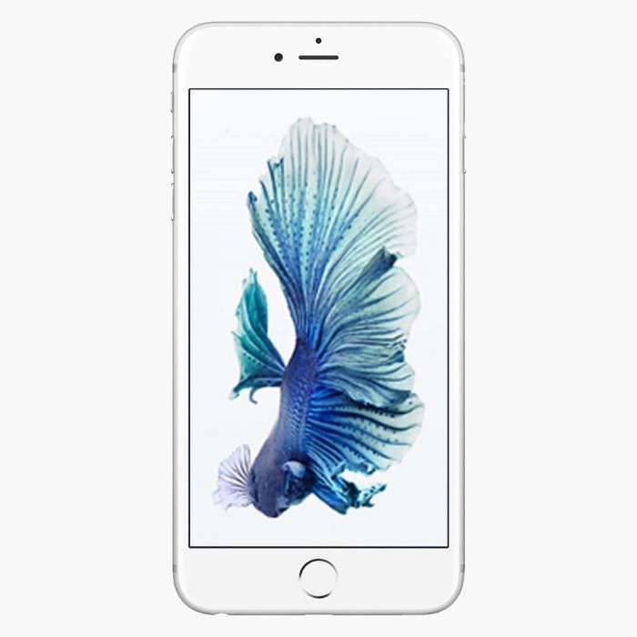 maat Perioperatieve periode Gietvorm iPhone 6S 16GB Silver refurbished kopen | los toestel
