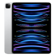 iPad Pro 11 inch (2022) 128GB Zilver Wifi + 5G