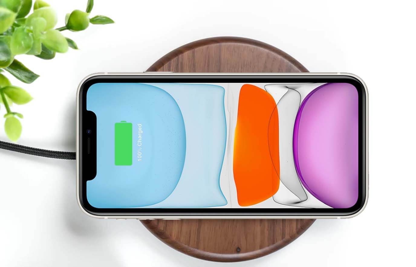 zeil heel fijn Dwaal iPhone 11 draadloos opladen, zó zit dat