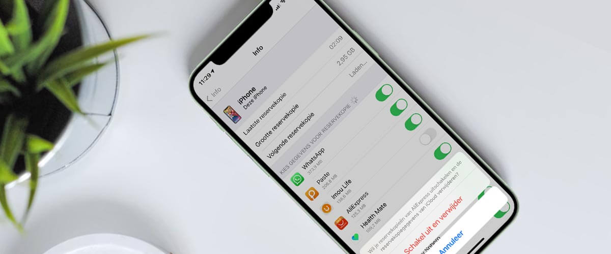 Grootte en inhoud iPhone reservekopie bekijken